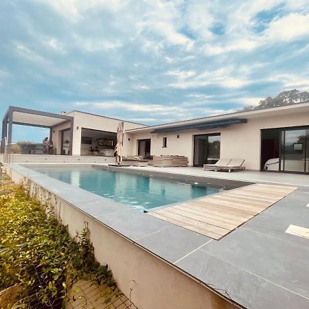 Architect's Villa - 10-12 people - Pool - 4 bedrooms Zonza Exterior foto